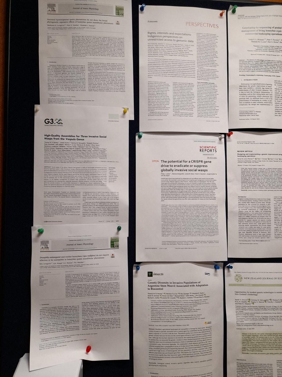 MackenzieLoveg1's tweet photo. I've spent years walking past the ever growing wall of papers outside our lab and being really proud of the work my friends have done. Today I realised that I was first author on 2 of them, and middle on another. It's been a tough year, but that certainly made my day! https://t.co/KahxV64JYl