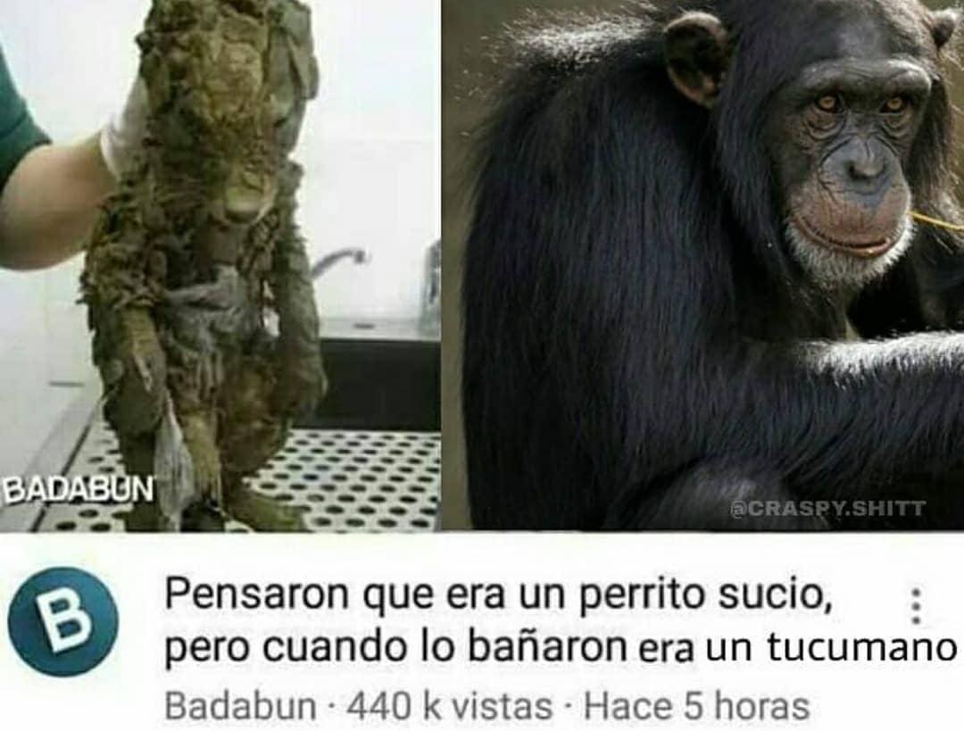 Stran Designs tweet media