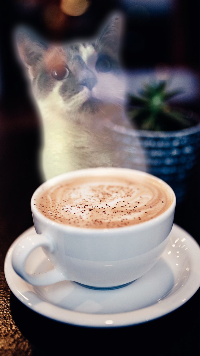 FeeB_da_BeeB's tweet photo. I think they call this an Irish coffee #spiritsinmyjava #futurefurista #spookyszn https://t.co/AWAjucGpFC