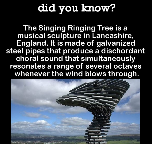 tarasimonstudio's tweet photo. Did you know that?❤️ #tarasimonstudios #singingtree #onlinevocallessons #singsmarternotharder #choralsounds #influencer #celebritycoach https://t.co/USw9hX0DSz