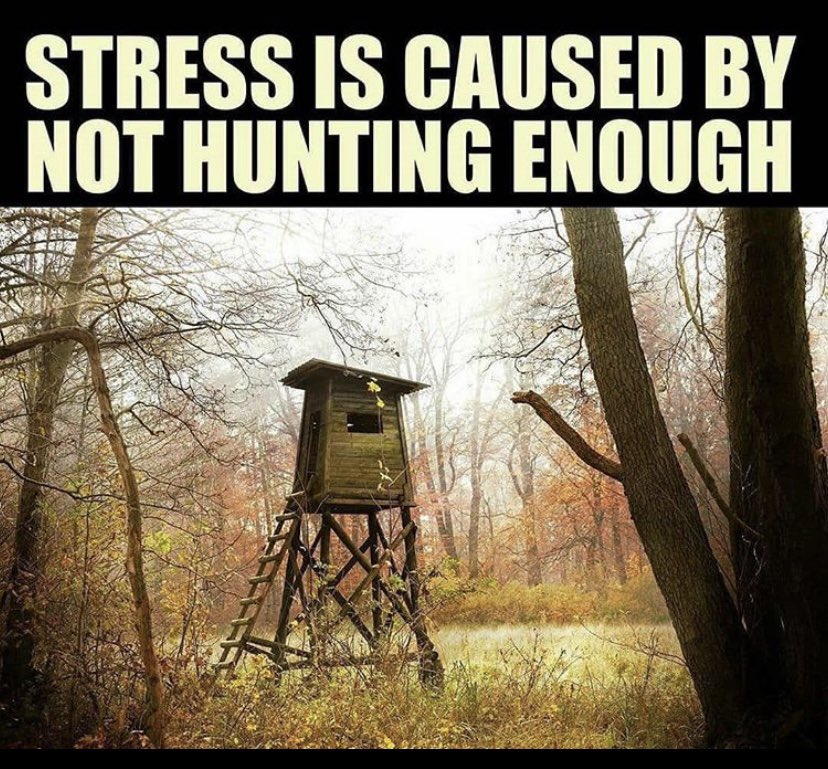 Outdoor Obsession tweet media