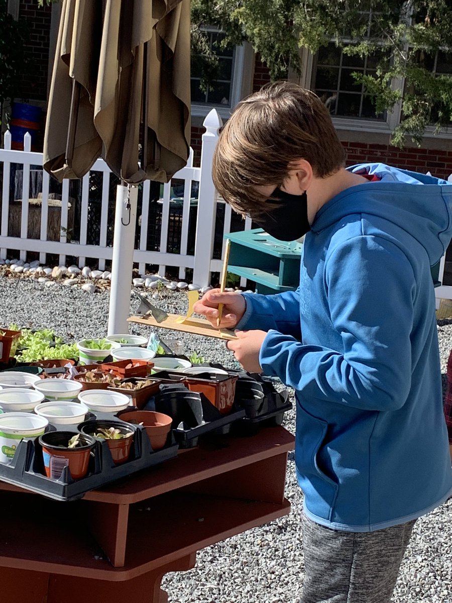 DebNovick's tweet image. Exploring the ABCs of ecosystems in the outdoor classroom. #ecosystems