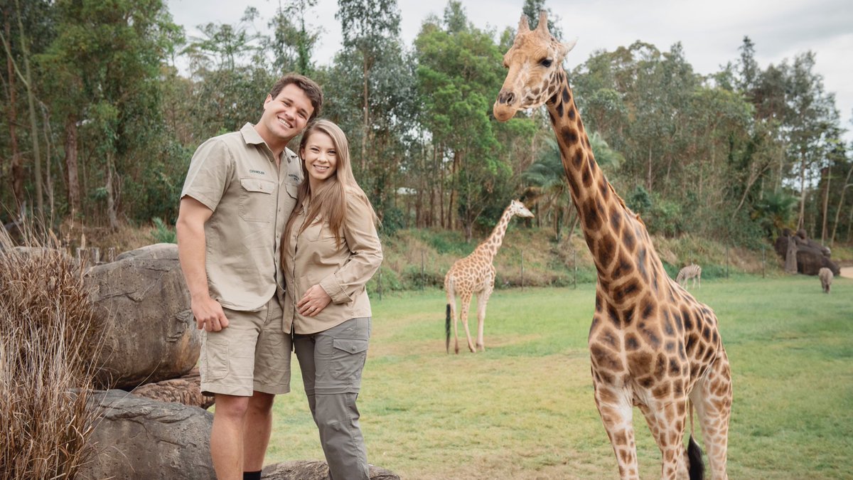 Australia Zoo Australiazoo Twitter