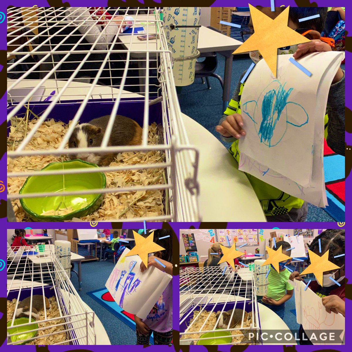 mrsrazoCFISD's tweet photo. Everyone was very excited to share their writing with Dusty the guinea pig today❤️! @CFISDPK1 @BirkesCFISD #prerocks #cfisdspirit https://t.co/ACauTa3seP