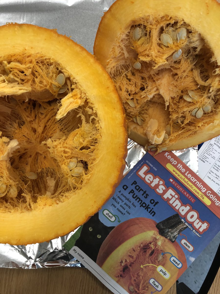 Barb_Whit3's tweet photo. Pumpkin fun has started! #LearningIsSoMuchFun #KStrong @SandersSMES https://t.co/KgGcjPMrKV