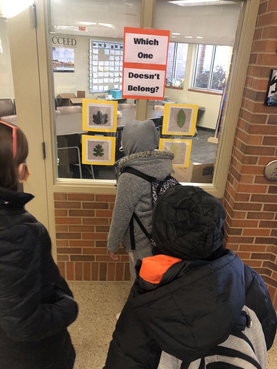 mtaylor422's tweet image. Love seeing students discuss with their teacher Which One Doesn’t Belong at the end of the day. Authentic reasoning! #wodb #cbcsd #cvpyp