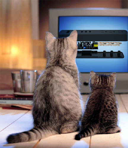 Simply AMAZING!!! Fast charging multi device dream come true!!!!! #tp  #electronic  #Tuesday amzn.to/2FCgnAj