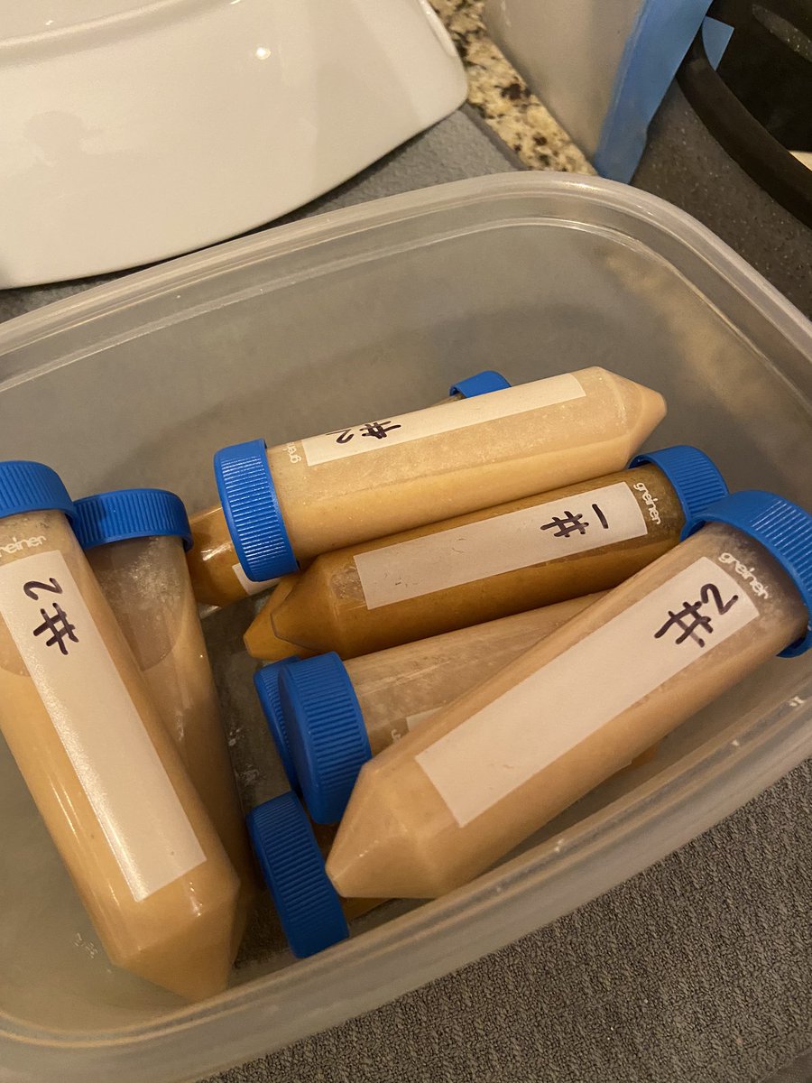 SchermsLHS's tweet photo. Good thing I have a strong stomach. 😆 Prepping for the mystery meal stomach contents MOL crime lab in #LHSAPbio. 🤢 @LHSTigrInCharge https://t.co/CmpW8TCqB2