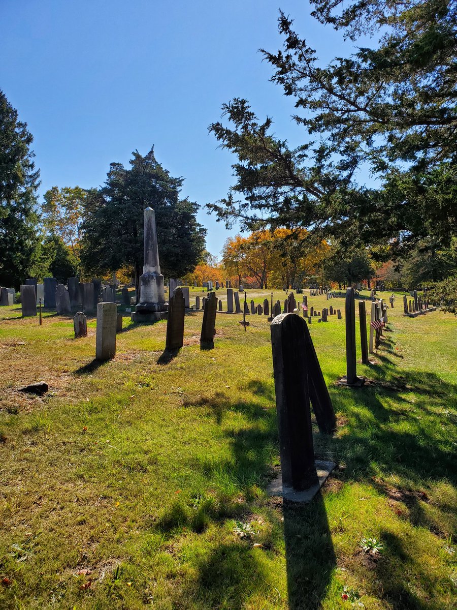 Isabella Ragonese (@i_ragonese) on Twitter photo Tried out cemetery birding (a la <a href="/bellzisbirding/">LeVar Birdin</a>) -- amazing! Serene, yet buzzing with bird activity. So many yellow-rumped warblers flitting among fall leaves 🍂🐦👻 Tried out cemetery birding (a la <a href="/bellzisbirding/">LeVar Birdin</a>) -- amazing! Serene, yet buzzing with bird activity. So many yellow-rumped warblers flitting among fall leaves 🍂🐦👻