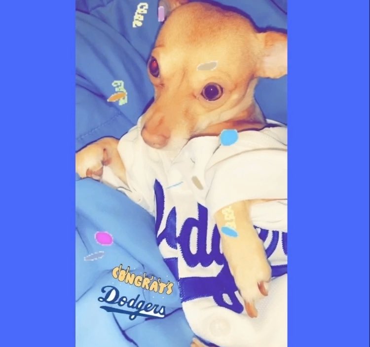 Congrats #WorldSeries #LADodgers #ILoveLA 
🎶🏆💙 🎉 ⚾️ 🎶 
youtu.be/6lNu1RJa7ko