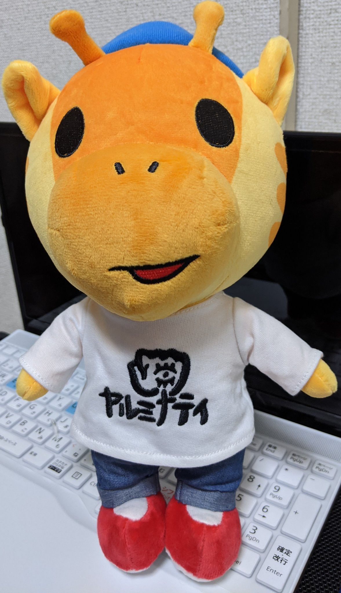秘密結社ヤルミナティ　ハック　キリン　タブー　ぬいぐるみ 激レア 2025年最新】ヤルミナ ハックの人気アイテム - メルカリ