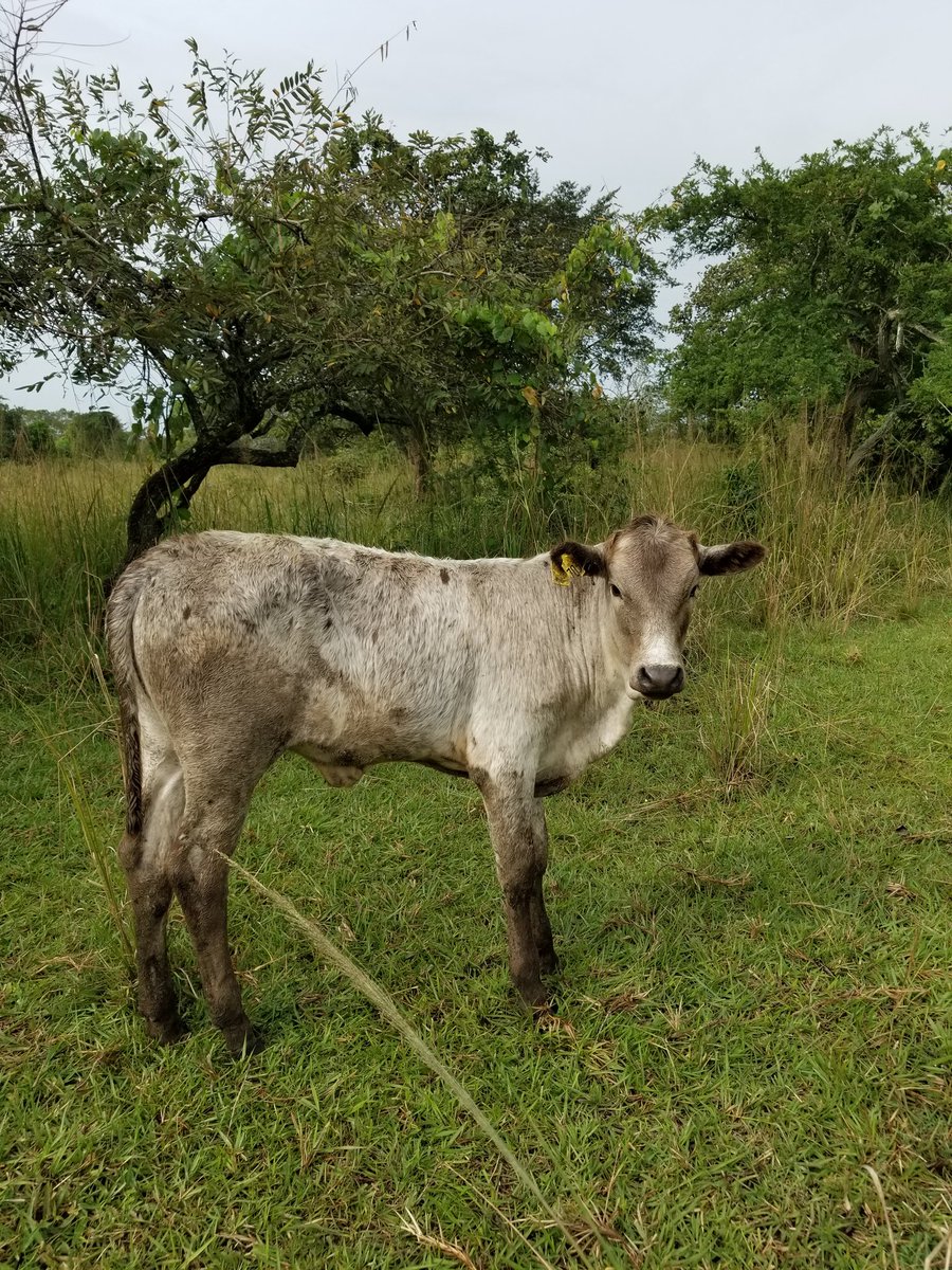 Steve03037101's tweet photo. https://t.co/ql7PzXw4Zr