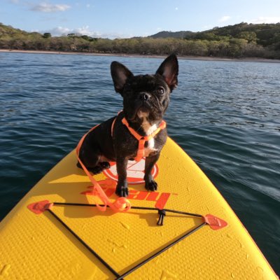 Queen Mía 🥰 #NuevaFotoDePerfil