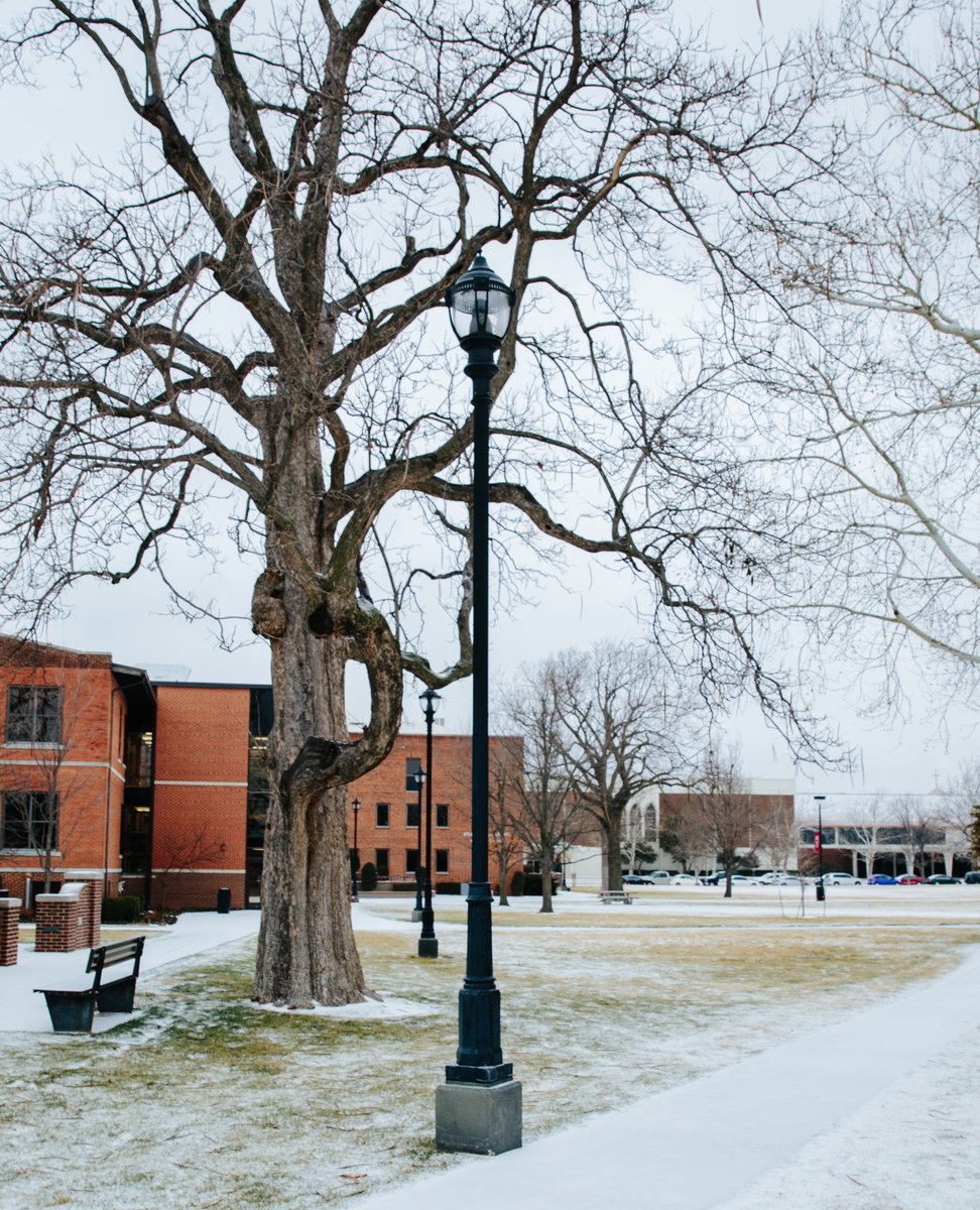 The Bethany campus is fully closed to daytime traditional classes tomorrow (Wednesday 10/28) with no virtual expectations. Decision on evening classes for 10/28 still to come.
-
#snu1899