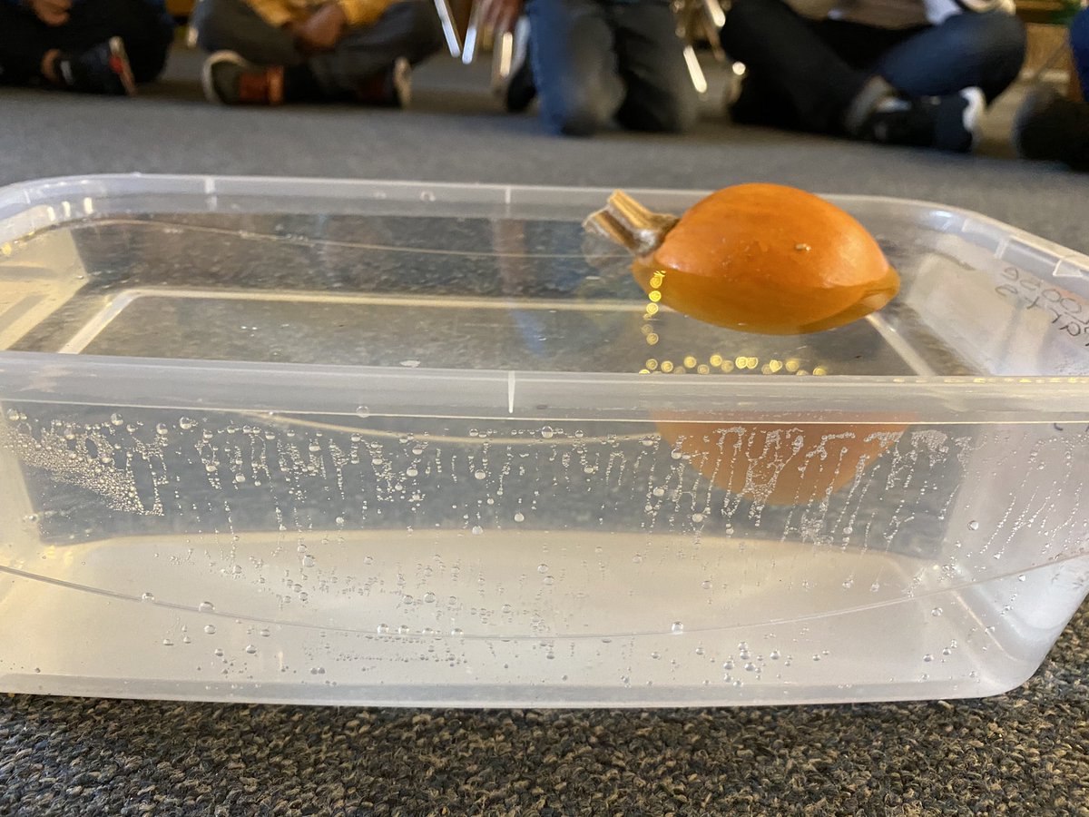 Melissa Stanley (she/her) tweet media