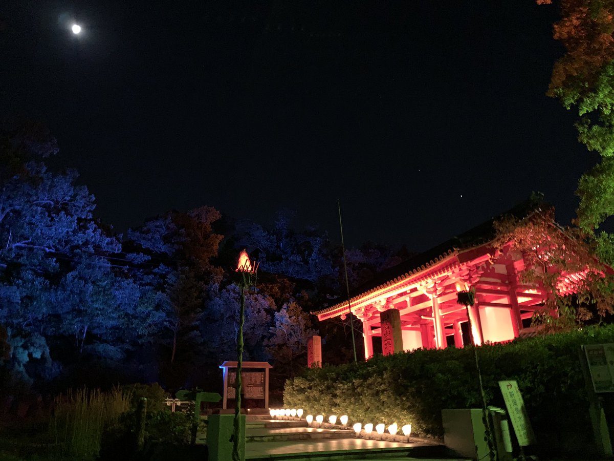 evi246's tweet photo. 月曜のライトアップ写真。
とりあえず、今回で最後らしい。
各所ライトアップ引き受けます(営業w)
#Japan31Project
#四国霊場84番札所屋島寺 https://t.co/ppA02oJ9UC