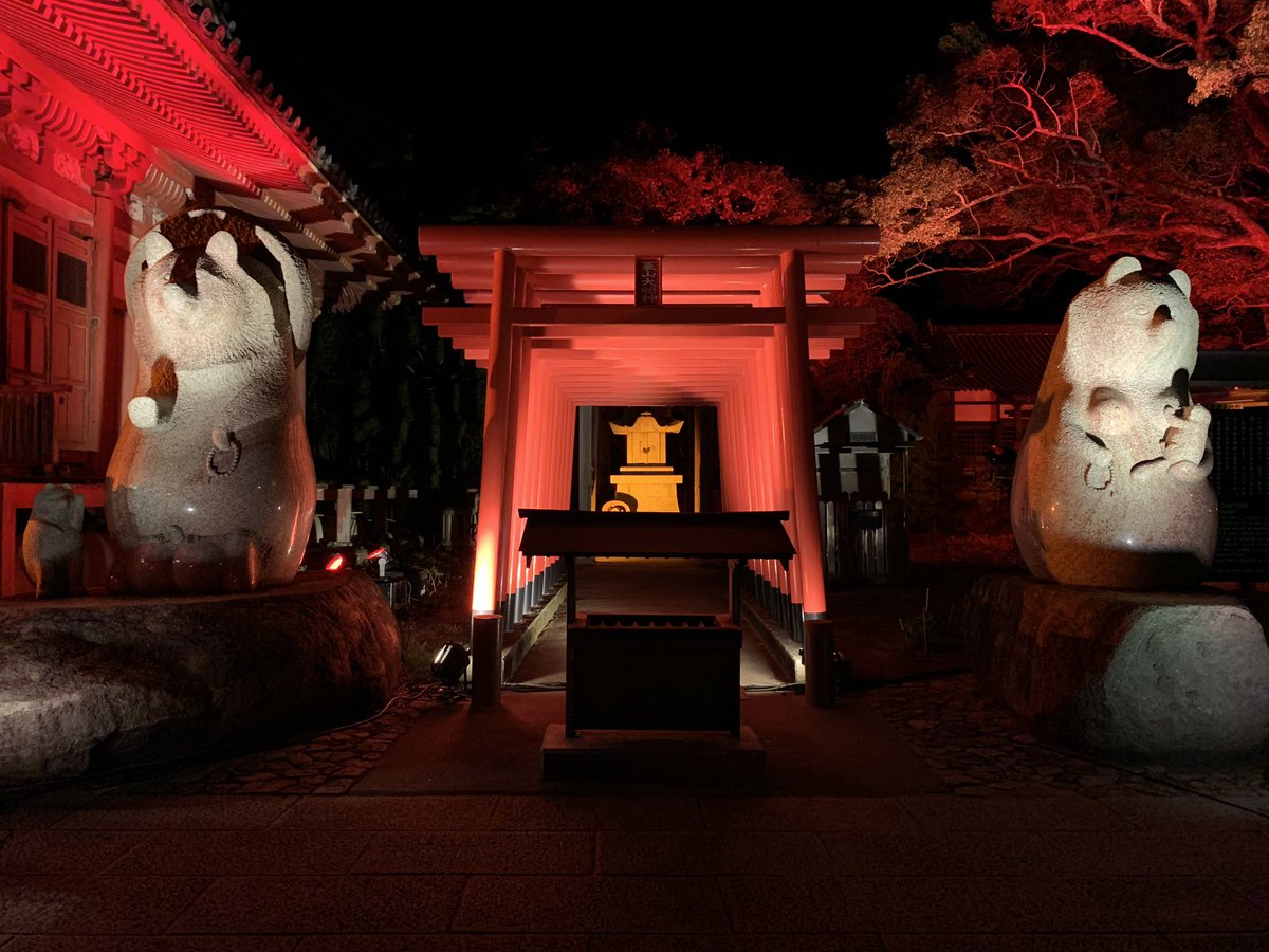 evi246's tweet photo. 月曜のライトアップ写真。
とりあえず、今回で最後らしい。
各所ライトアップ引き受けます(営業w)
#Japan31Project
#四国霊場84番札所屋島寺 https://t.co/ppA02oJ9UC