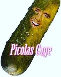 honeybunhannah_'s tweet photo. i love that twitter asks you "whats happnening?" and all i have to post is sir picolas cage. https://t.co/zx900xT0rI