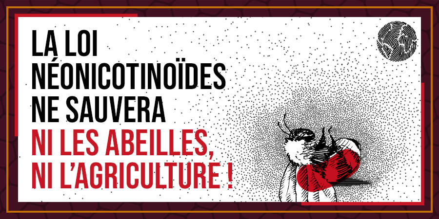 Fondation Nature Homme tweet media