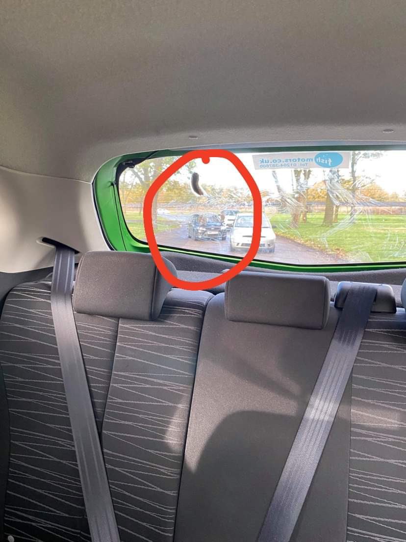 andyhart88's tweet photo. Something went absolutely ape shit on my car the other day 😡 it was a baboon so it’s fine though! 😂 If anything I’ve never heard such a literal usage of the term and I love it #KnowsleySafari https://t.co/cQMNDjnVcj