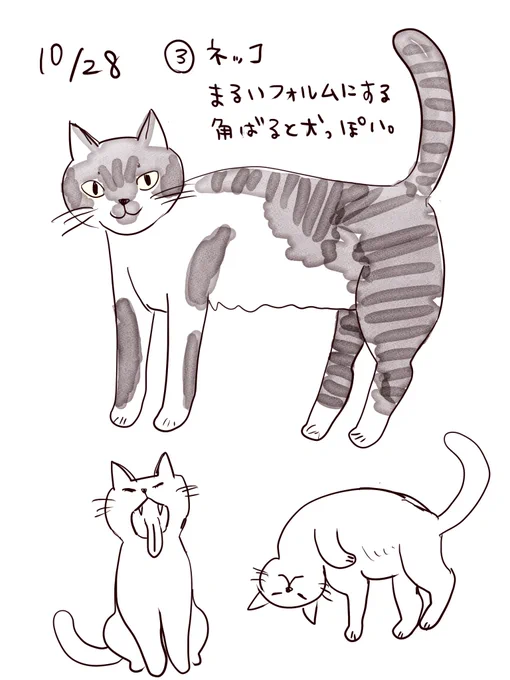 #動物50種類暗記チャレンジ#コルクラボマンガ専科 3種類め実家で飼ってたネコの色を思い出して塗ってみた。今年死んじゃって両親がとても寂しがってるんだけど、あ!写真をLINEスタンプにしてプレゼントしようかな?なんか生きてる感じしない?そうしよっと?? 