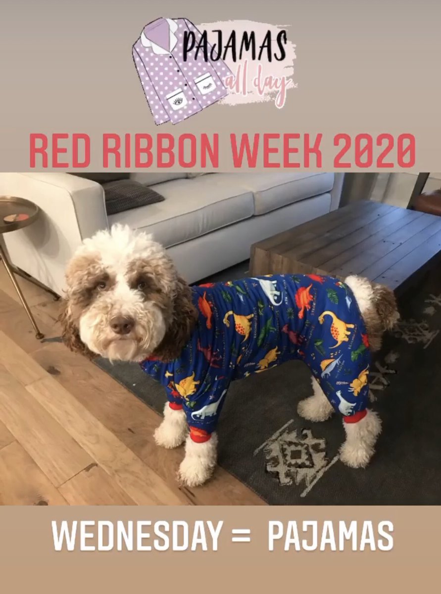 Wednesday is all pajamas all day! Red Ribbon Week 2020 <a href="/ClayTrojans/">Clay Middle School</a>