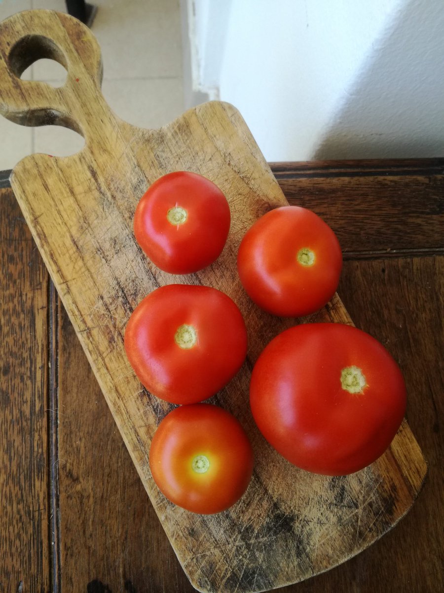 Siwisi's tweet photo. Impuesto a las grandes fortunas #Tomatal https://t.co/HQLXix6w0s