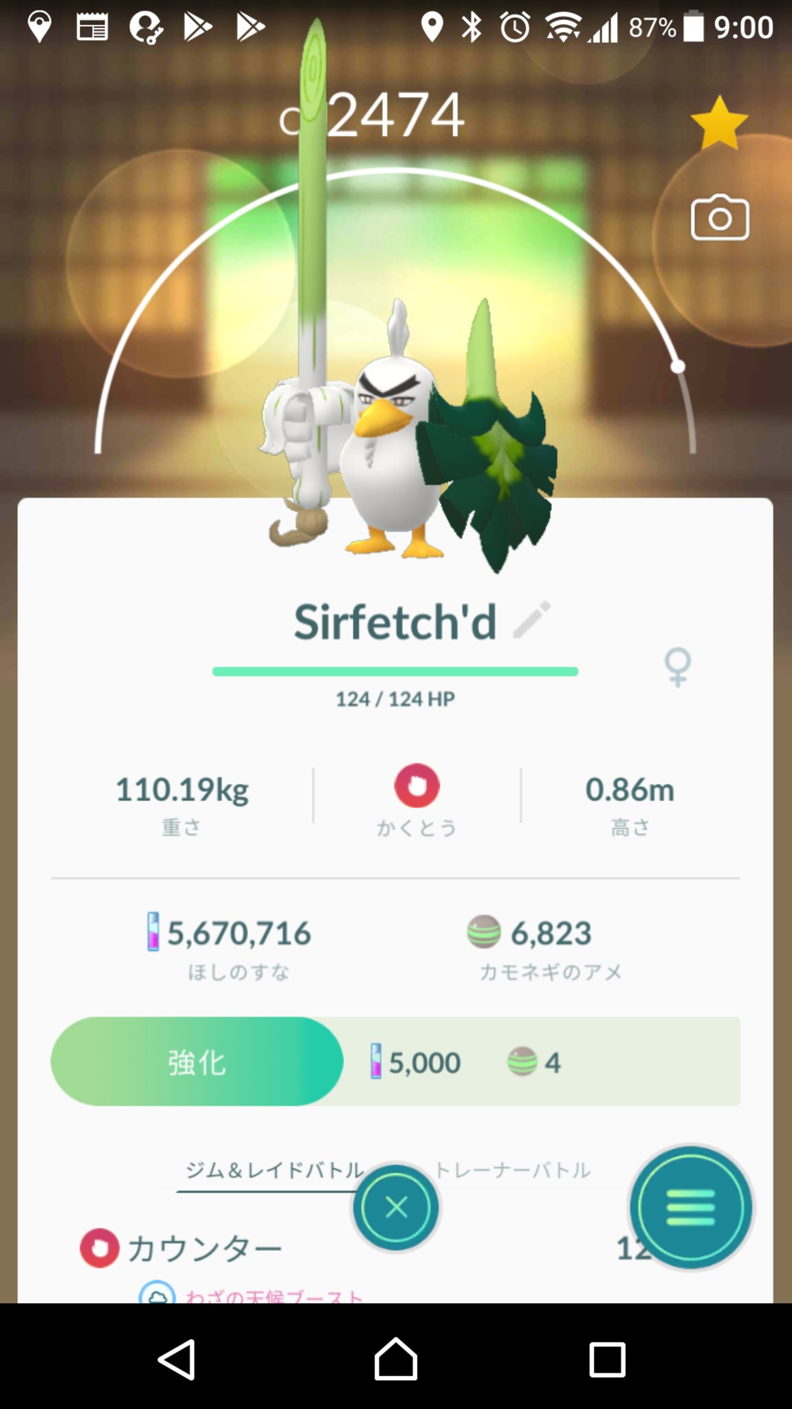 Mk Tribe ポケモンgo福岡 Tribe Mk Twitter
