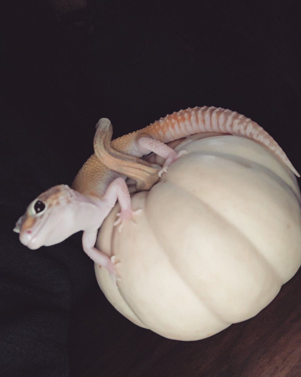 Westover_21's tweet photo. Spooky dude https://t.co/NMBYWKakqS