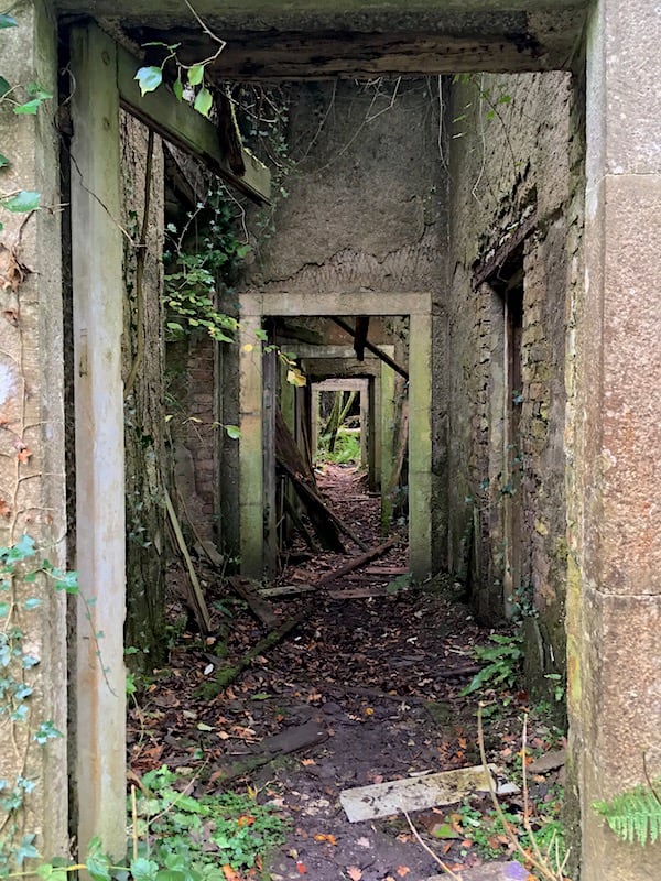 Round 2, Bracket C! Baron Hill vs Castell TalacharnThe area around Baron Hill is home to a rare species of bat, and has been declared a site of special scientific interest, which is probably why it looks like this.