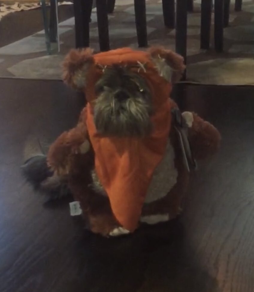 TonyNetoArt's tweet photo. Miss Coco Ewok  ready for The Battle for Endor #SWSHalloweenCostume #starwars https://t.co/Jcv46Wdv3b