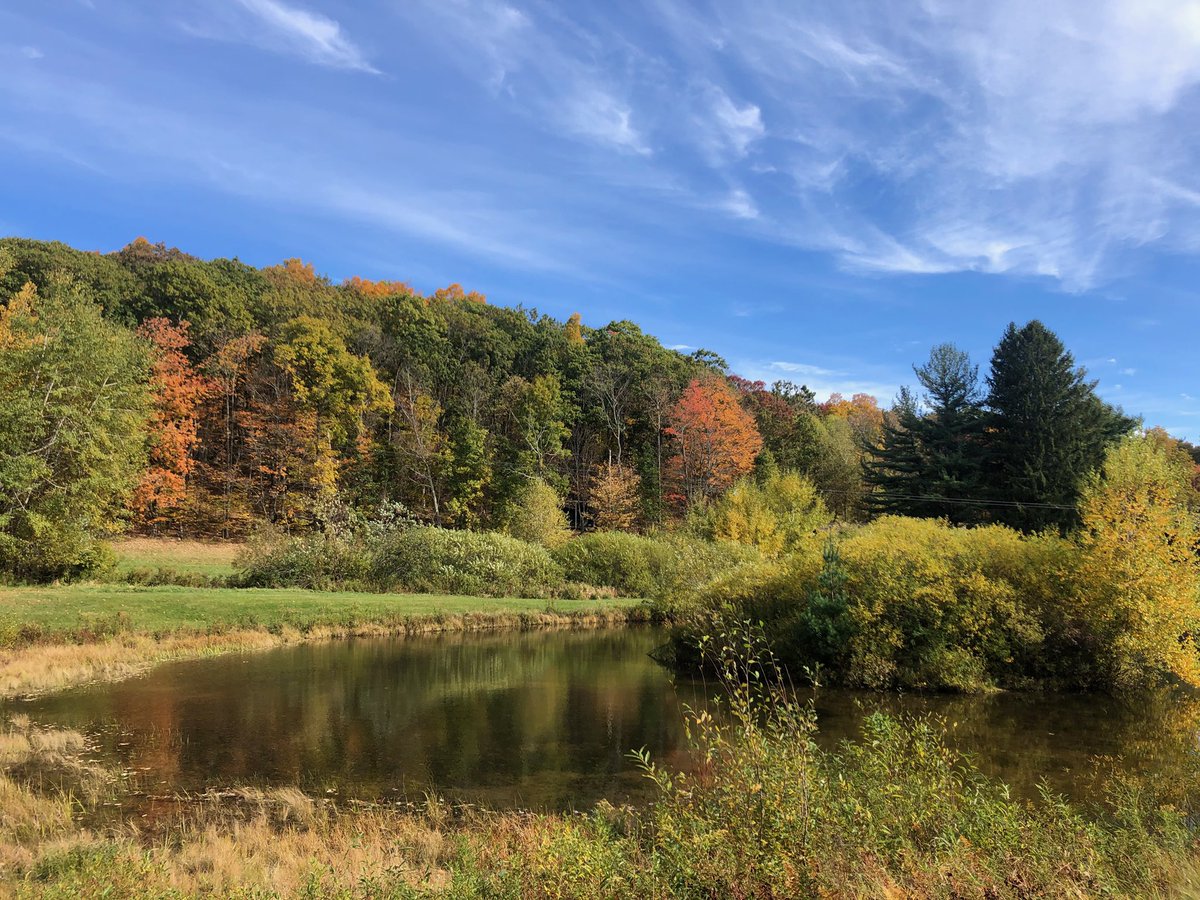 Genesis_Sound's tweet image. Enjoying the peace and serenity of the mountains instead of political discussions ❤️