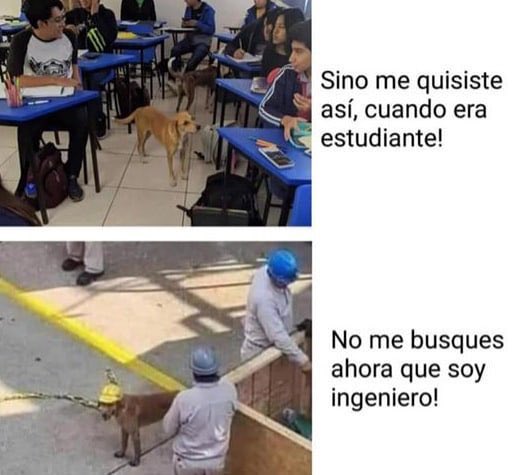 SuavesLomitos's tweet photo. https://t.co/Z0Dye4FIlu