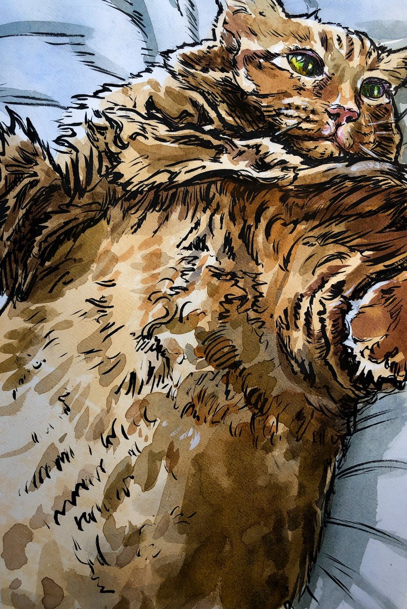 Daily Napkins tweet media