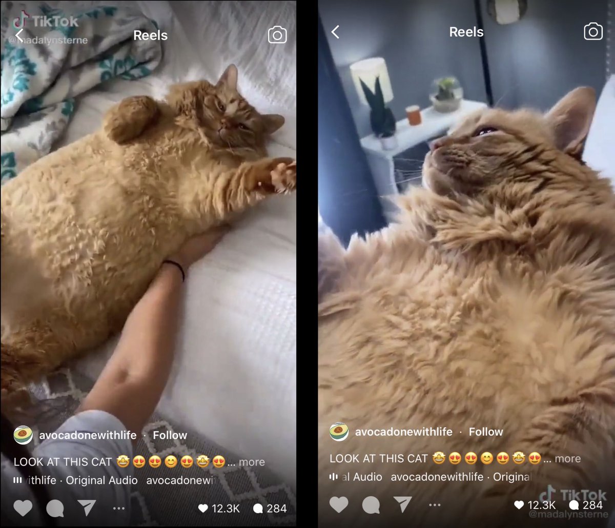 Daily Napkins tweet media