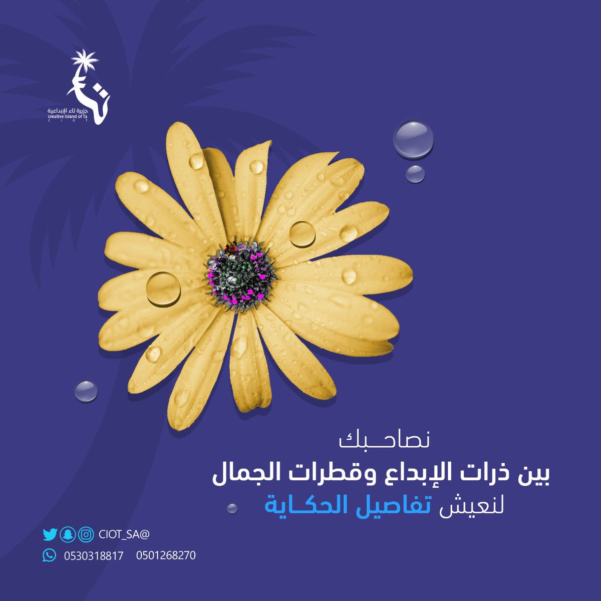 #جزيرة_تاء هي جزيرة مختلفة ! 

#تصميم
#بوست 
#بوستر