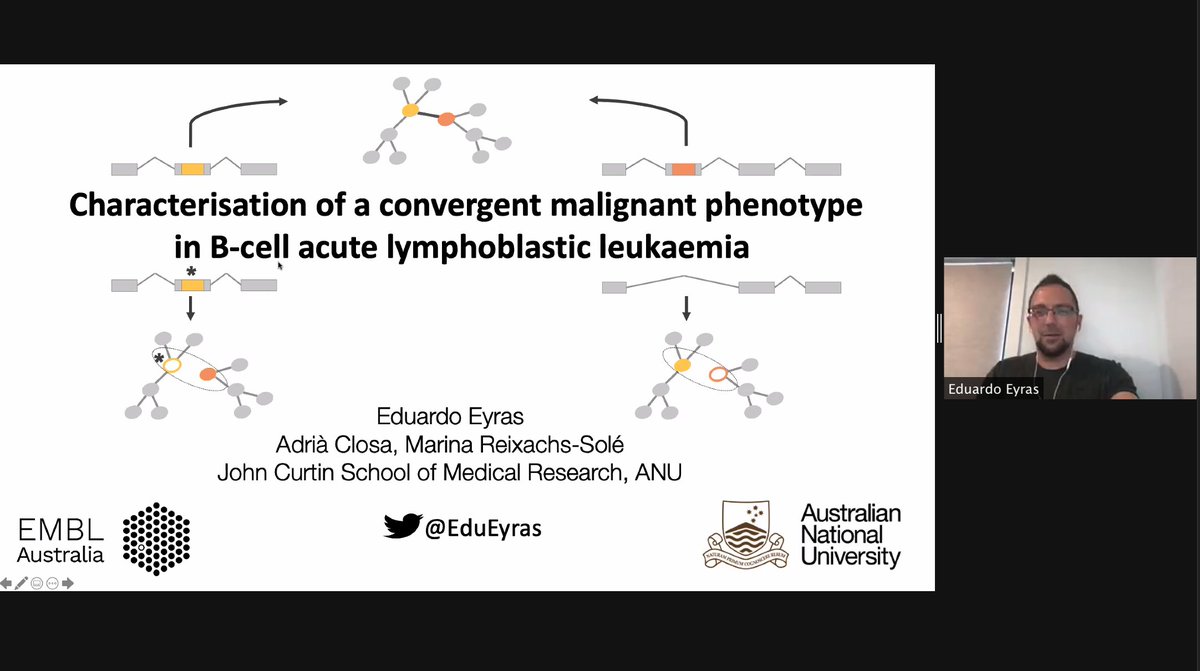 VicCanBioinf's tweet image. The last session of #VCBS2020 leading in is @EduEyras kicking things off. We are rounding the turn!