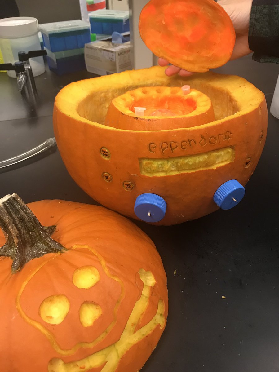 Emma Wrenn (@wrenn_emma) on Twitter photo I literally could not be prouder of my lab’s contribution to the Fred Hutch pumpkin contest - a functioning centrifuge. @AmiaDrYet <a href="/DoakAndie/">Andie Doak</a> I literally could not be prouder of my lab’s contribution to the Fred Hutch pumpkin contest - a functioning centrifuge. @AmiaDrYet <a href="/DoakAndie/">Andie Doak</a>