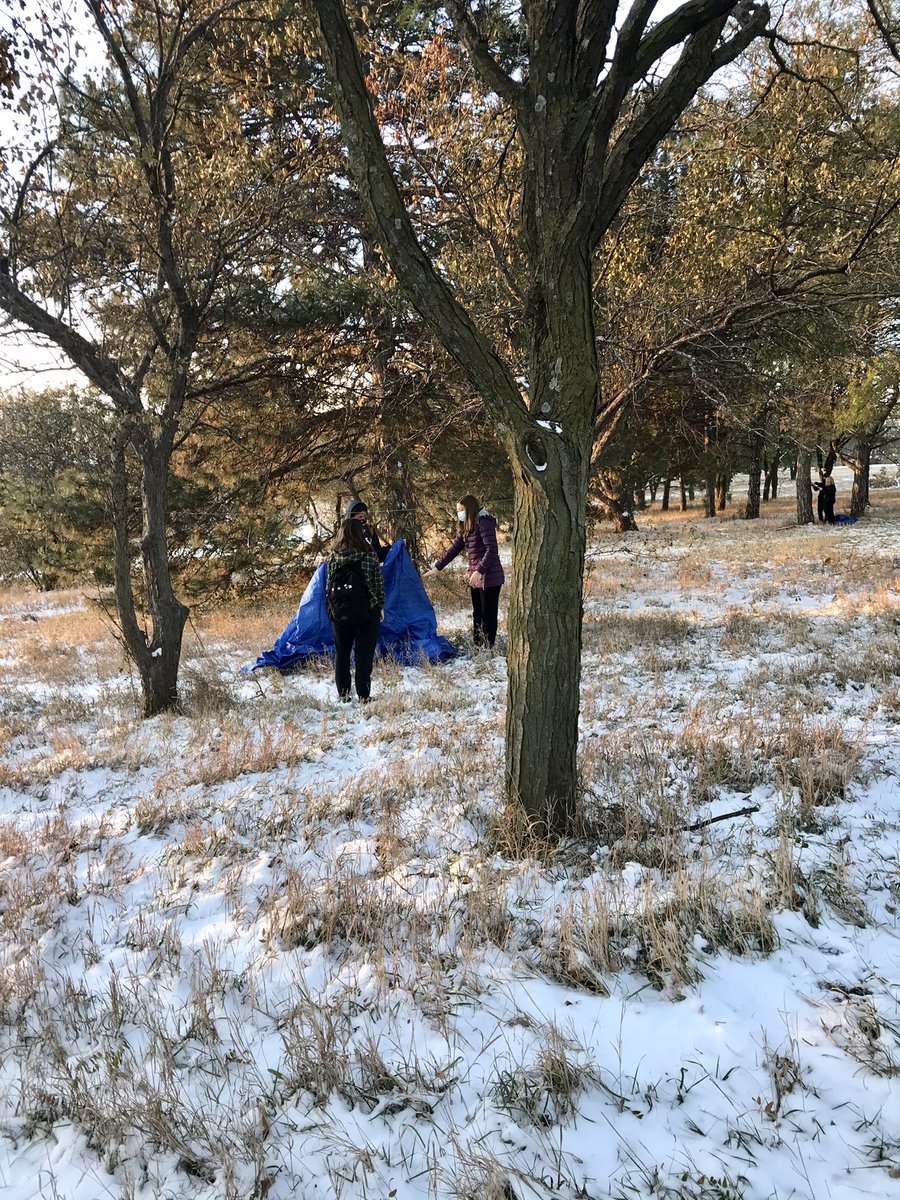 RunGalRun's tweet photo. Learn:
1. #survivalrulesof3
2. Basic camping knots
3. 5 W’s in choosing a campsite
4. Variety of shelters styles. 
5. Finally- build tarp shelter⛺️!
⭐️Can’t wait to see the final product = Shelter “crib” videos 🎥 explaining their creations!! #outdooradventure #physed #warmlayers https://t.co/saAux65P7h