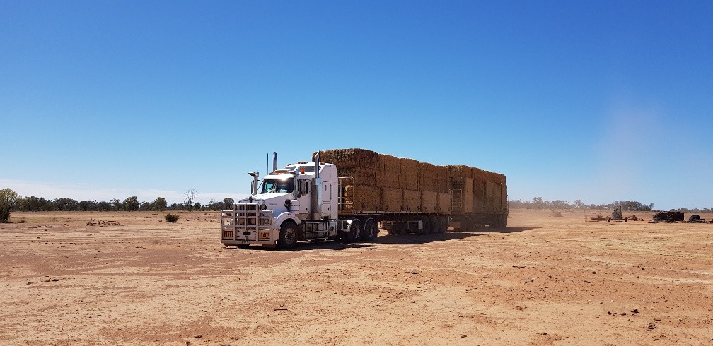 While there is plenty of rain soaking the East Coast of Australia, this morning's delivery to Scrubby Creek is a reminder that the rain doesn't reach everywhere and the drought it still affecting many of our farmers 😔 #ruralaid #buyabale #supportingaussiefarmers