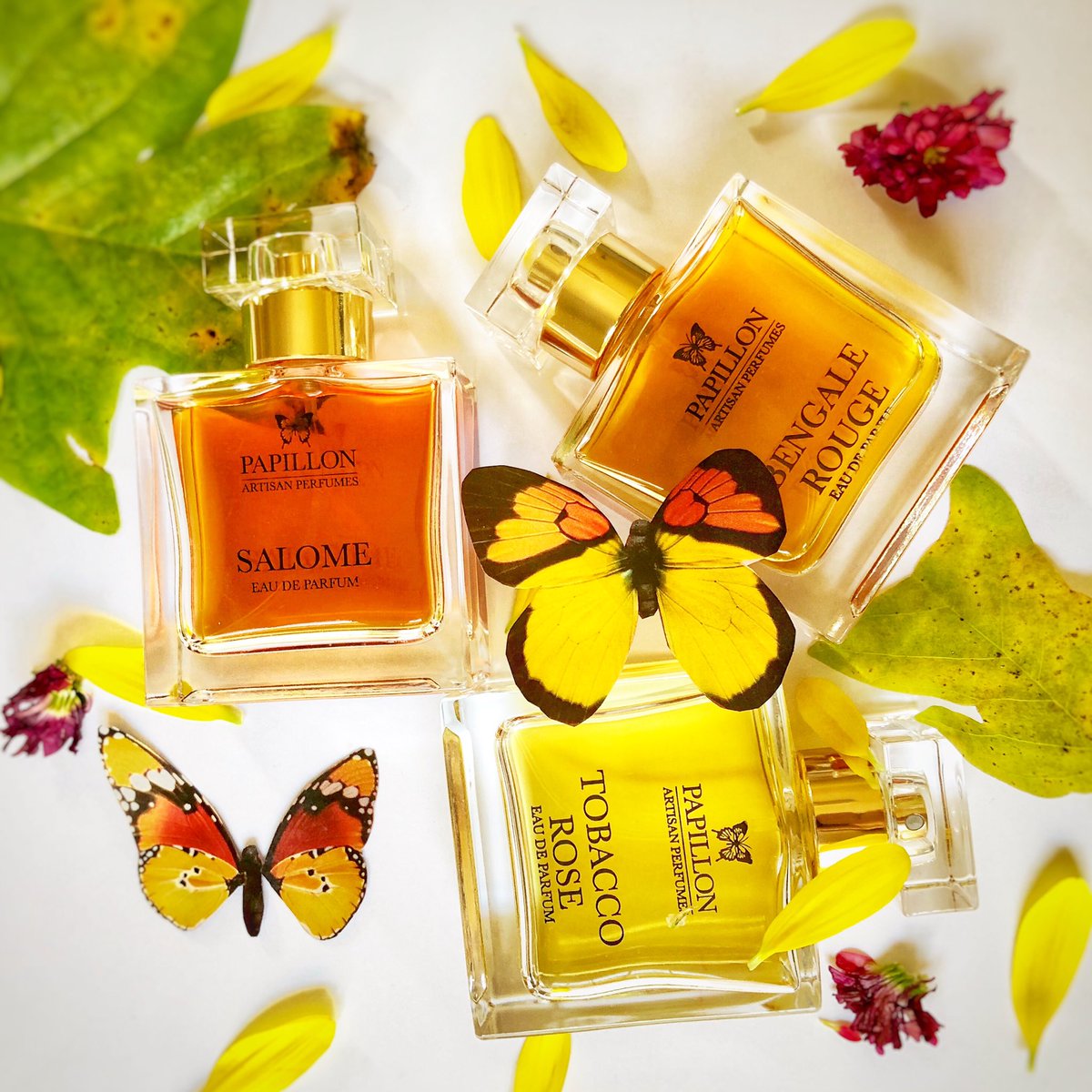 AveParfum's tweet photo. The entire @PapillonPerfum collection is in stock at https://t.co/jL2ZjlQAdp Each one is a modern masterpiece! #conscientiousluxury #perfumista #fumehead #papillonartisanperfumes #highqualityingredients #salome #bengalerouge #tobaccorose #retailtherapy #artisanfragrance https://t.co/z6jLSdlXll
