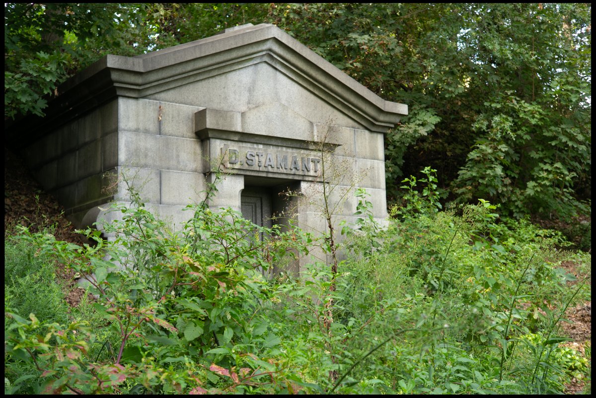 CognatePhotos's tweet photo. The Green Woods VI

Photo taken by Jimmy Tu

https://t.co/VjdeOfuSDW

@GreenWoodHF https://t.co/4HYuD40oxR