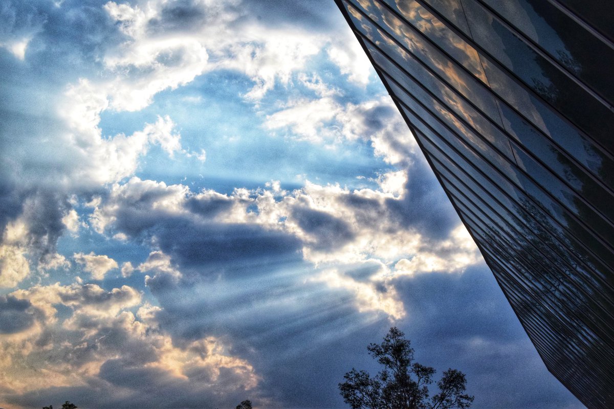 DiVilleda's tweet photo. Focused.. ✨📸📸
.
.
#NikonD3300 #Nikon #Nikonmx #D3300 #DSLR #CDMX #BellasArtes #Photographer #Photography #CentroHistórico #Saturacion #Contraste #ReflexCamera #Fotografia #Fotografo #CU #Sky #Colors https://t.co/JKB6zIqSIP