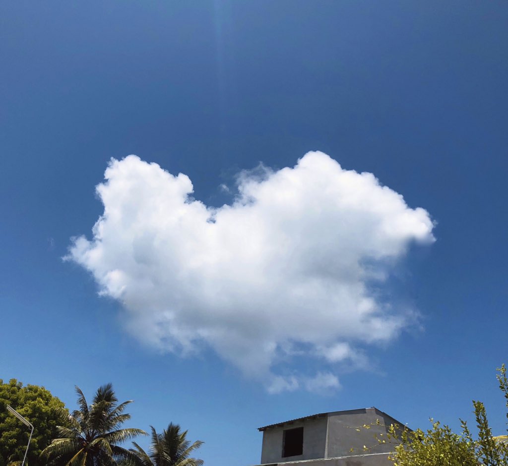 huyaam's tweet photo. 💙

#HeartsInNature https://t.co/YEMndUrYtz