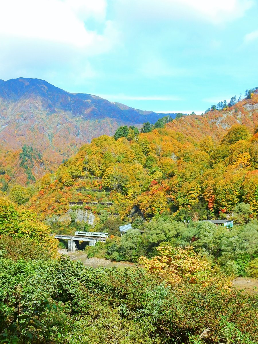 おいでよ 南会津 10 27 火 に撮影した南会津の美しい紅葉 絶景ローカル線で知られる 只見線 ですヨ 艸 1枚目 2枚目は金山町ふれあい広場 3枚目は田子倉湖付近です ぜひ 紅葉 紅葉 紅葉狩り もみじ T Co Izkpg3bkkv