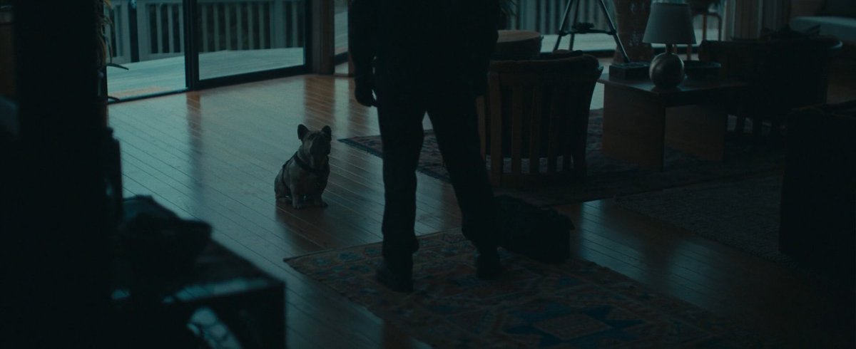 DaSpoilerBoy's tweet image. En #TheRental (2020) todos mueren, menos el perro. #SPOILERS