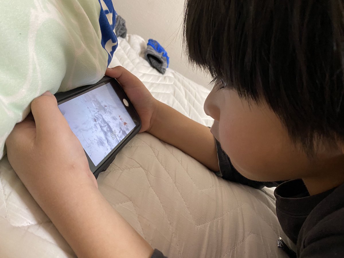 Louis_0905's tweet photo. YouTubeで鬼滅見てたのに遂にNetflixで見始めた🥺💦
映画は行かないよ…だってママ見てないもん…って言ったら泣かれた。。 https://t.co/QlLf1cTS0R