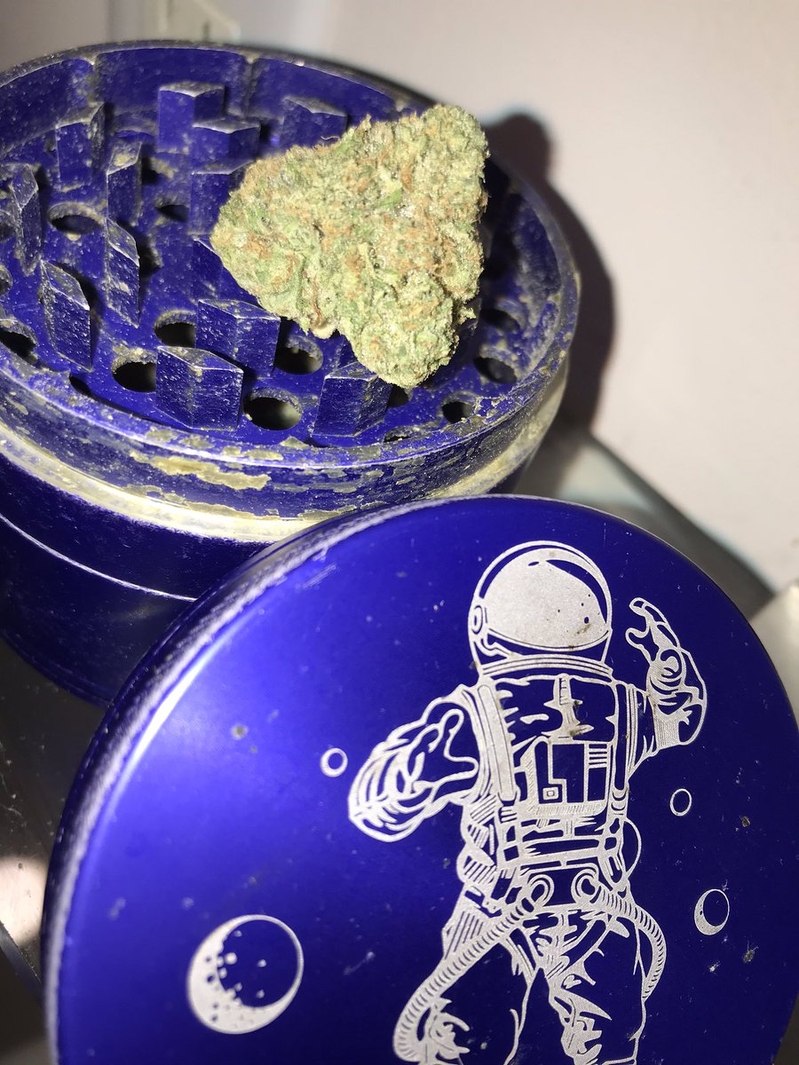 GRINDING UP SOME LA GAS
THAT GOOD GOOD
NICE NICE
STICKY ICKY
USHY GUSHY
OUUU WEEE
WHAT ARE YALL SMOKING?!
#420friendly #kush #weed #WeedLovers #weedlife
#canabis #marijuana
@StillHighhh
@BudPictures
@WeedPorns
@stillblazingtho
@WeedFeed
@Intl_Highlife
@wwwanpaus
@BlazedRTs https://t.co/kUXQdyGD93