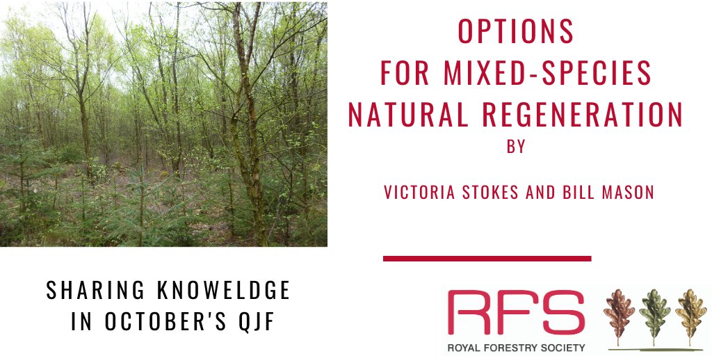royal_forestry's tweet photo. #GoodRead Management Options for Mixed-species Natural Regeneration. Experiment results. Victoria Stokes &amp; Bill Mason @Forest_Research evaluate methods of managing natural mixed conifer/broadleaved in October’s #QJF. https://t.co/3hOrItPjV3 #sharingknowledge
#regeneration. https://t.co/Sk28ECOPL2