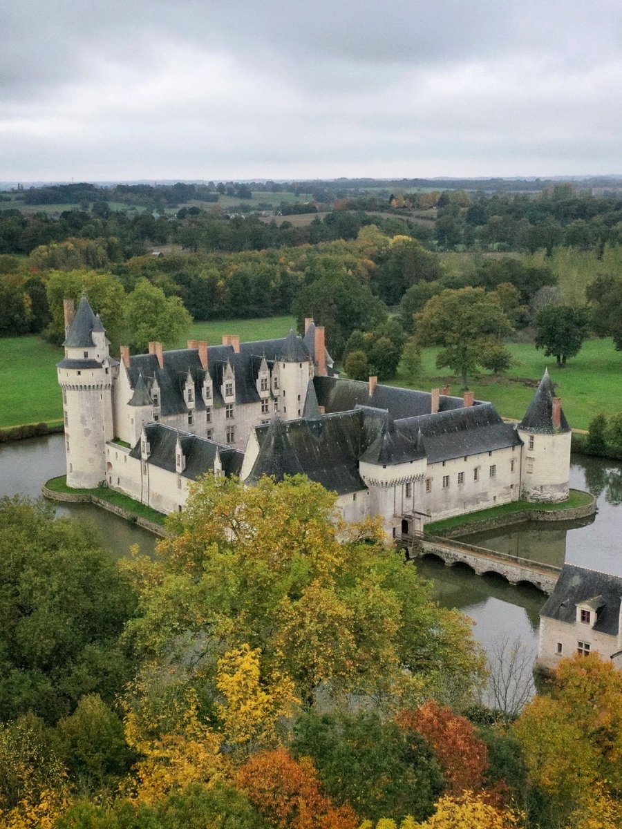 Château du Plessis-Bourré tweet media